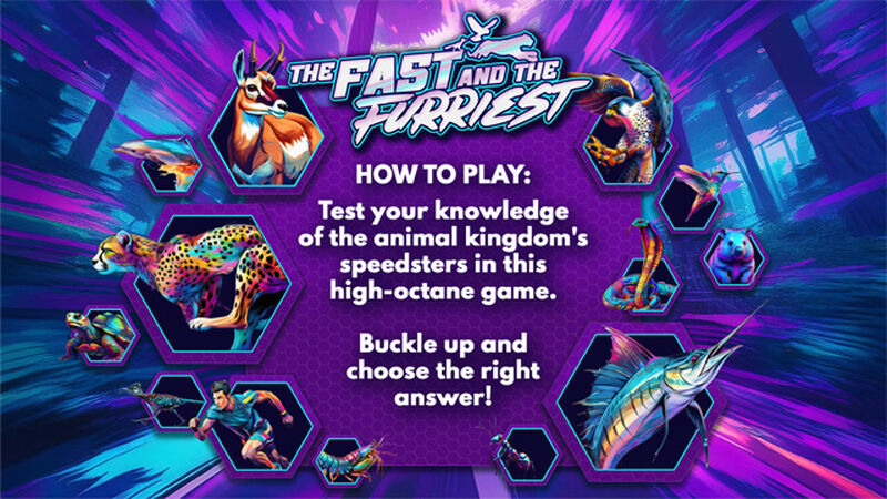 The Fast and the Furriest